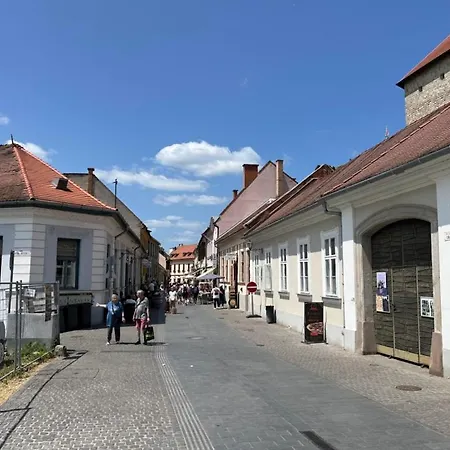 Appartement Aranyvar *